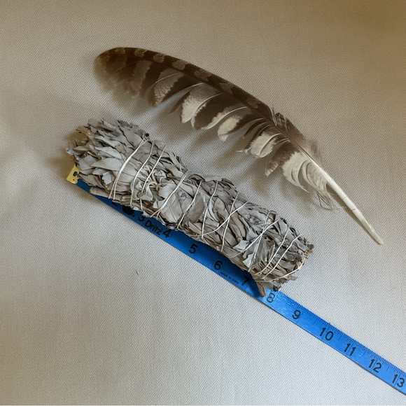 Abalone Shell Bowl + Sage Smudge Stick + Feather *3 Piece Set - Picture 3 of 9